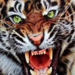 Profile picture of Corey R